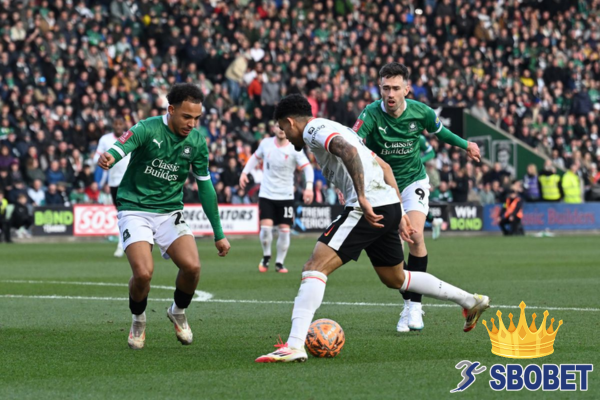 ทางเข้าสโบเบ็ต ล่าสุด