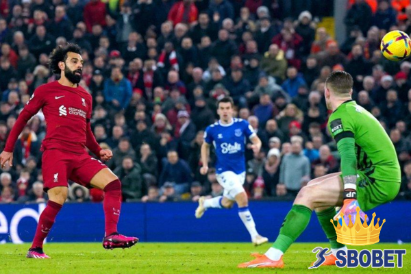 เว็บแทงบอล sbobet